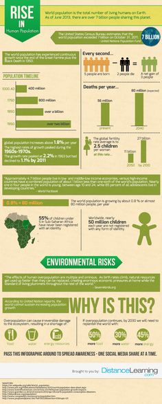 an info sheet with information about the environment