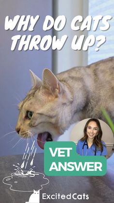 a cat standing on top of a wooden table next to a woman with her mouth open