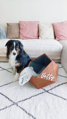 a dog sitting on the floor next to a box with clothes in it's mouth