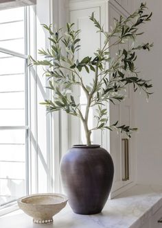 an olive tree in a vase next to a bowl on a window sill by a window