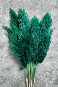 a bunch of green plants sitting on top of a wooden stick in front of a cement wall