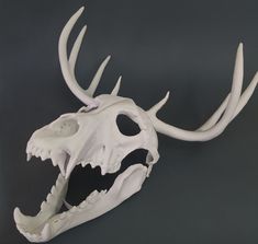 an animal's skull is shown with large horns