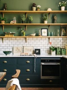 a kitchen with green walls and shelves filled with potted plants on top of it