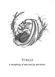 an image of a book with the title virgo