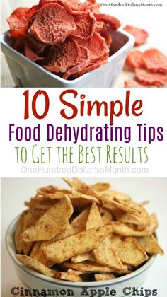 the top 10 simple food dehydrating tips to get the best results from