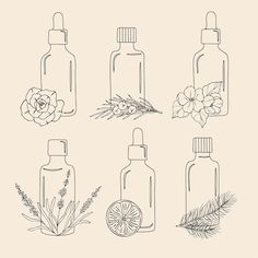 six bottles with flowers and herbs in them on a beige background illustration by hand drawing