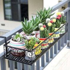 a balcony rail with pots and plants on it