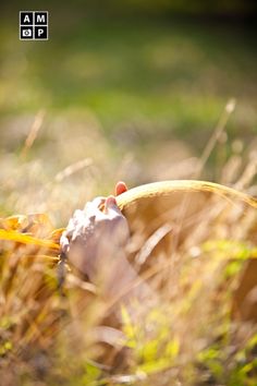 a person laying in the grass with their feet up