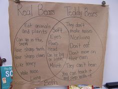 two circles with words written on them in front of a sign that says real bears and teddy bears