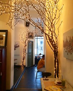 a man sitting at a table in front of a tree with lights on the branches