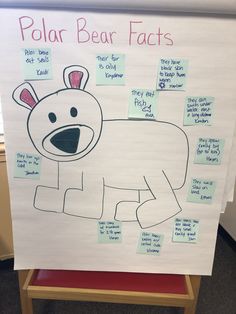 a polar bear fact board with notes on it