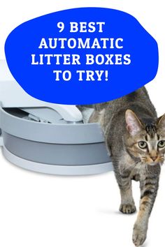 a cat walking next to a printer with the words 9 best automatic litter boxes to try