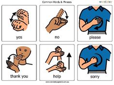 four different types of hand gestures with the words common words and phrases in each language