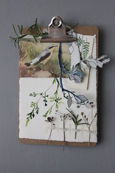 a clipboard with some pictures on it and leaves attached to the clip board,