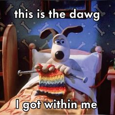 a dog laying in bed with a knitted sweater on it's lap and the caption reads, this is the dawg i got within me