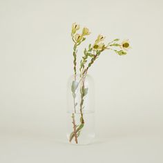 there is a vase with some flowers in it