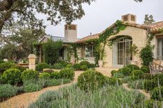 a house with lots of greenery in front of it