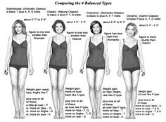 a woman's body and measurements for her swimsuit