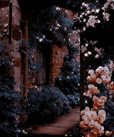 an archway leading to a building with flowers growing on the side and lights shining in the background