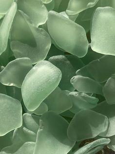 Feuille Eucalyptus, Green Beach, Green Ocean, Celadon Green, Sea Glass Crafts