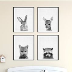 four black and white pictures of animals hanging on the wall above a bed in a bedroom