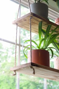 two potted plants are hanging from wooden shelves