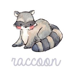 a raccoon is laying down on the ground