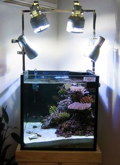 a fish tank with two lamps on top of it