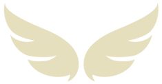 an image of two white wings on a white background