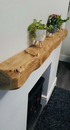 some plants are sitting on top of a wooden shelf