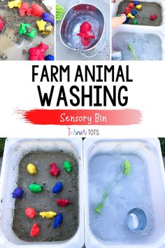 an animal washing tray with toys in it and the words, farm animal washing