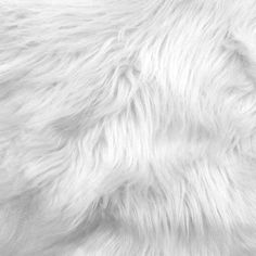 the texture of white fur is shown in this black and white photo