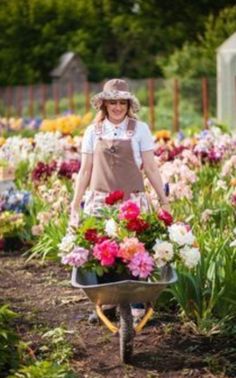 a woman with a wheelbarrow full of flowers in a garden filled with lots of plants