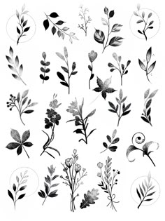 black and white flowers are shown in the shape of leaves, which appear to be from different