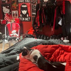 a black and white cat laying on top of a bed in a room with red walls