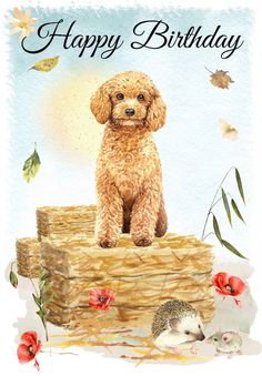 a happy birthday card with a poodle sitting on top of a pile of logs