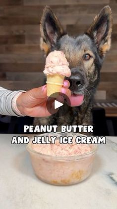 a dog is eating ice cream out of a bowl with its owner's hand