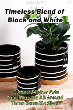 three black and white planters on a table with text overlaying the image