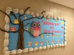 a bulletin board with an owl theme on it