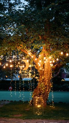 a tree with lights hanging from it's branches