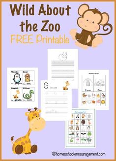 the wild about the zoo free printable worksheet