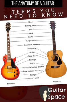 the anatomy of a guitar and how it's functions can help you learn to play