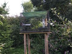 a bird cage in the middle of some trees