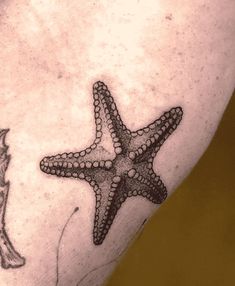 a starfish tattoo on the leg of a person's arm with a seahorse in the background