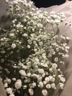 small white flowers sitting on top of a piece of paper