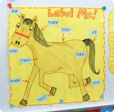 a child's drawing of a horse labeled with labels and words on the board