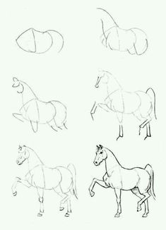 some drawings of horses in different positions and sizes, including one horse with long manes