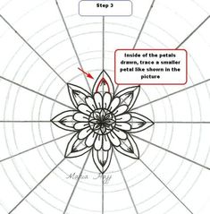 the diagram shows how to draw a flower in three different stages, including petals and petals