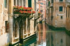 a canal with flowers on the ledge and buildings in the background