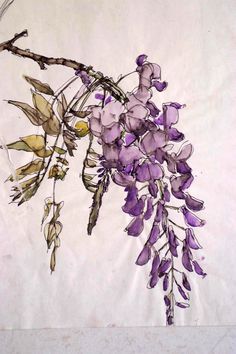 a painting of purple flowers on a white background